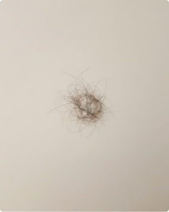Hair collected at week 6